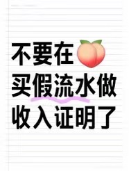 签证银行流水