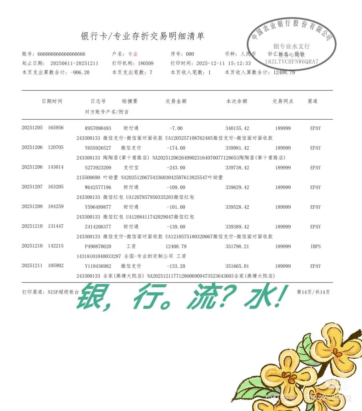 上海个人银行流水制作